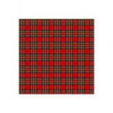 Totally Tartan Stewart -W24501-24